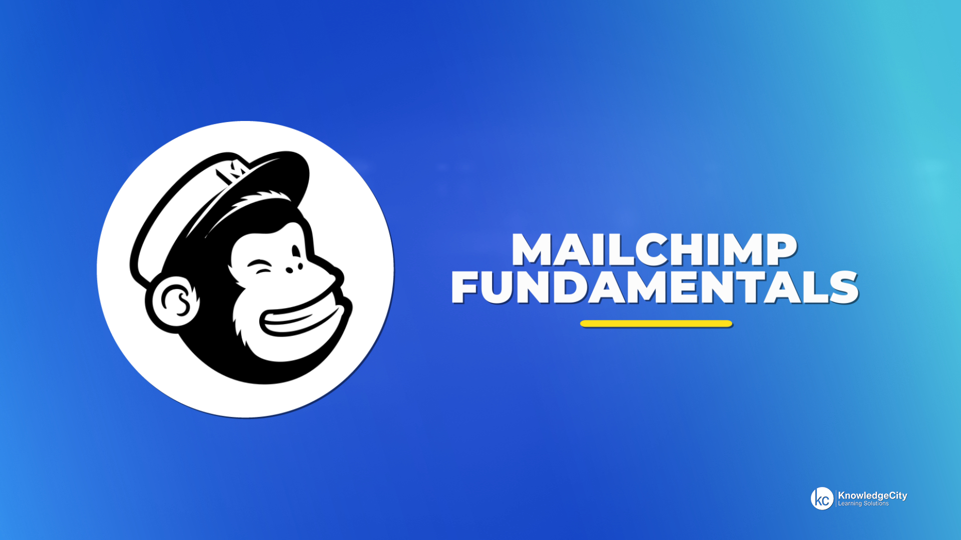 أساسيات الحملة في Mailchimp